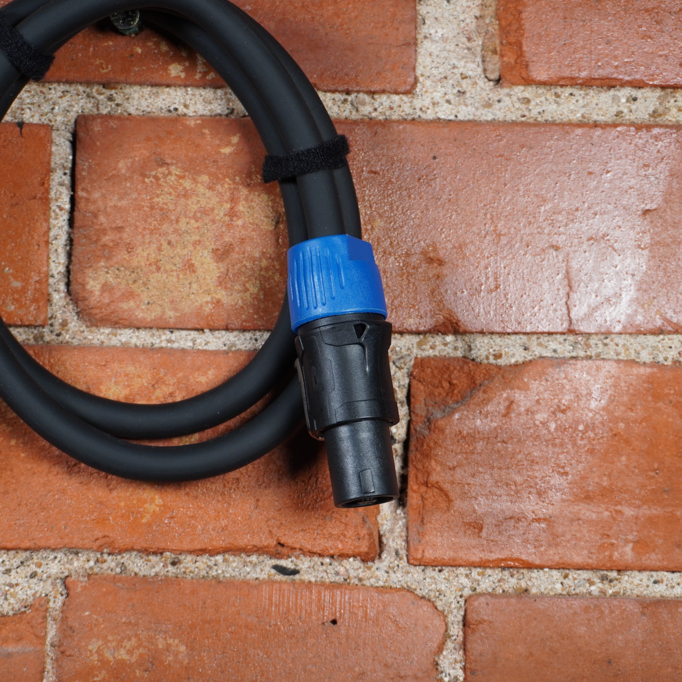 Rapco Concert Series Locking Speaker Cable 3ft