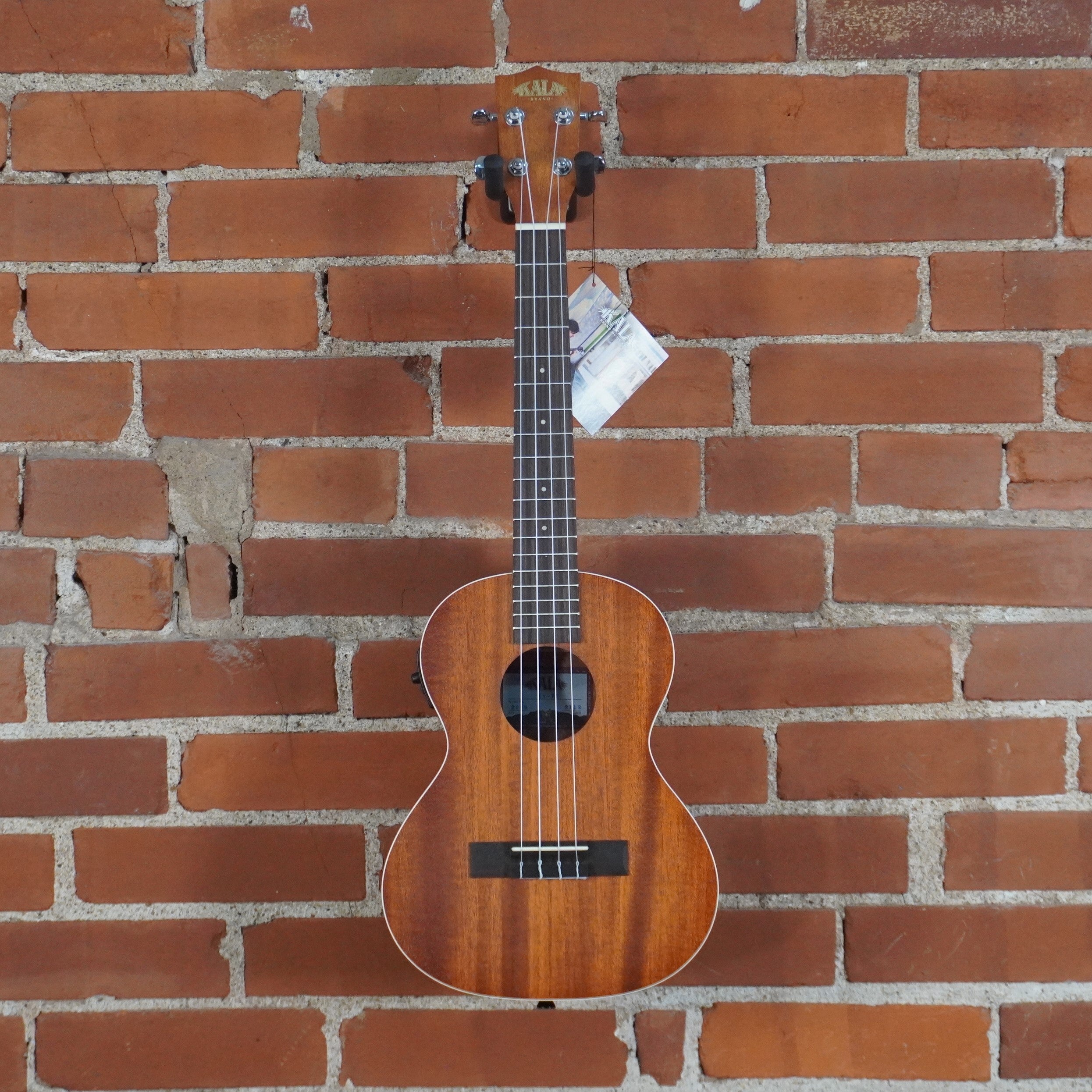 Kala Satin Mahogany Concert Electric Ukulele Store Demo