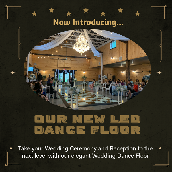 LED Dance Floor