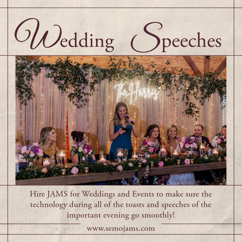 Wedding Speeches Tech Provided with DJ Service