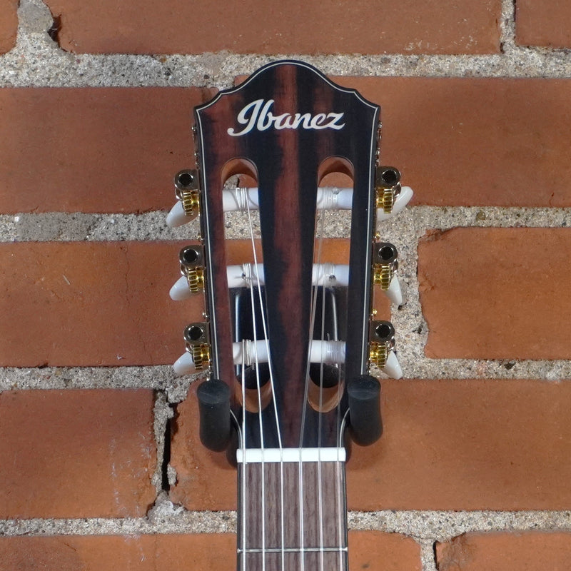 Ibanez FRH10NBSF Thinline Nylon Acoustic Electric Guitar Brown Sunburst