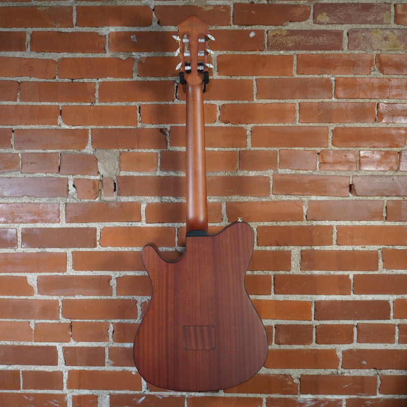 Ibanez FRH10NBSF Thinline Nylon Acoustic Electric Guitar Brown Sunburst