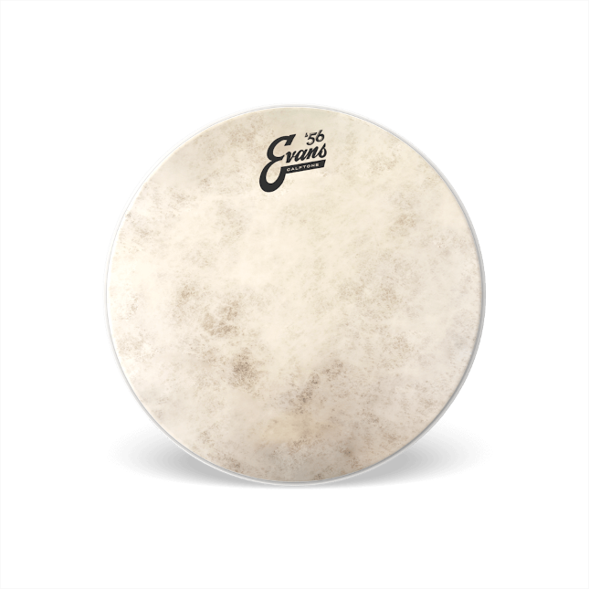 Evans Calftone Snare Head 14"