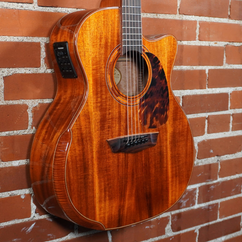 Used Washburn G55CE Koa Acoustic Electric w/Hard Case