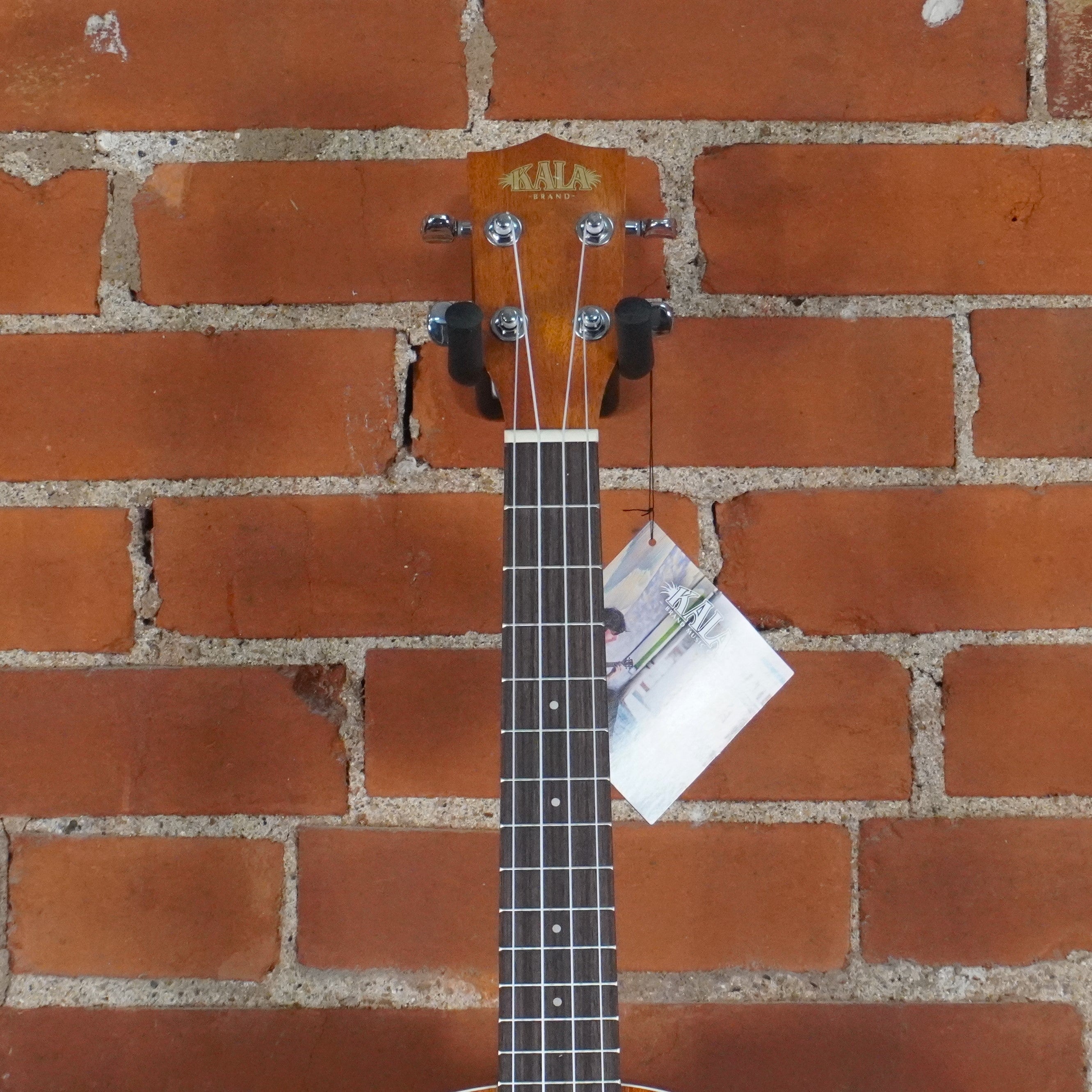 Kala Satin Mahogany Concert Electric Ukulele Store Demo