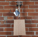 Kala Art Deco Cigar Box Ukulele w/Gig Bag