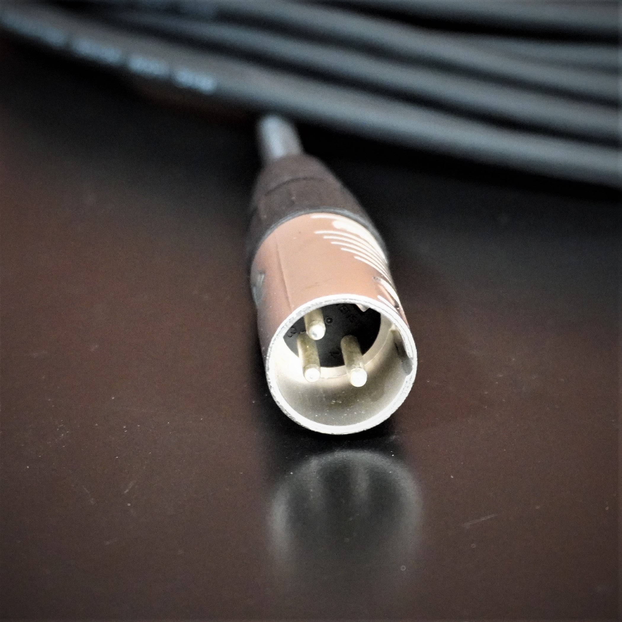 Rapco Players Mic Cable Rean 25ft
