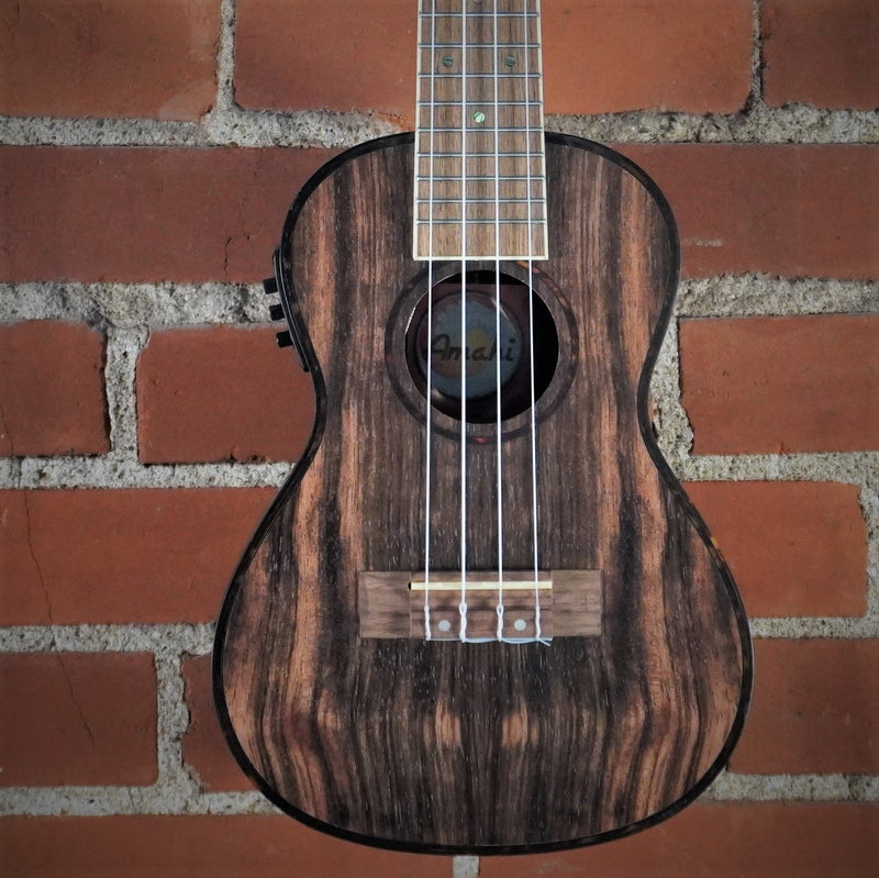 Amahi Classic Series Ebony Concert Electric Ukulele w/Gig Bag *B-Side*