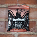 Ernie Ball Paradigm Phosphorus Bronze Acoustic Guitar Strings Medium - .013-.056